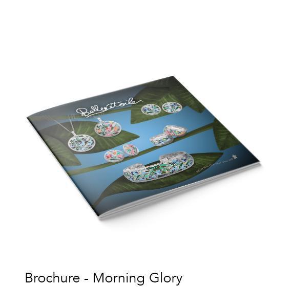 Brochures